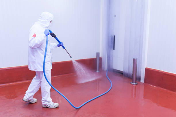 Best Patio and Deck Pressure Washing  in Dawson, MN